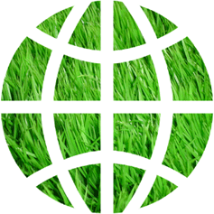 Groundology logo